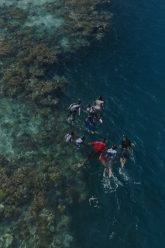 WALLIS-ET-FUTUNA,-AUX-FRONTIÈRES-DE-LA-MER